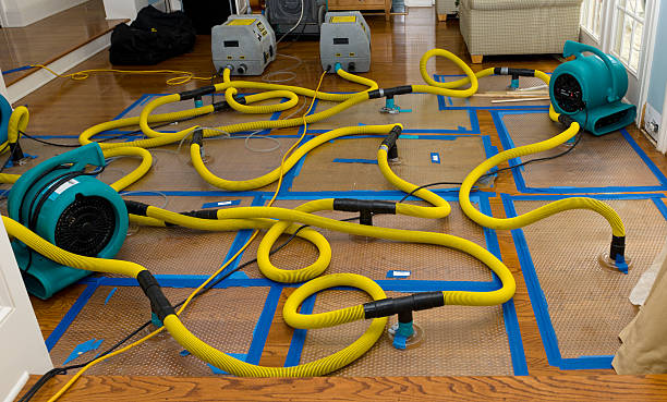 Professional Storm Water Damage Restoration technician working in Collegeville, MN